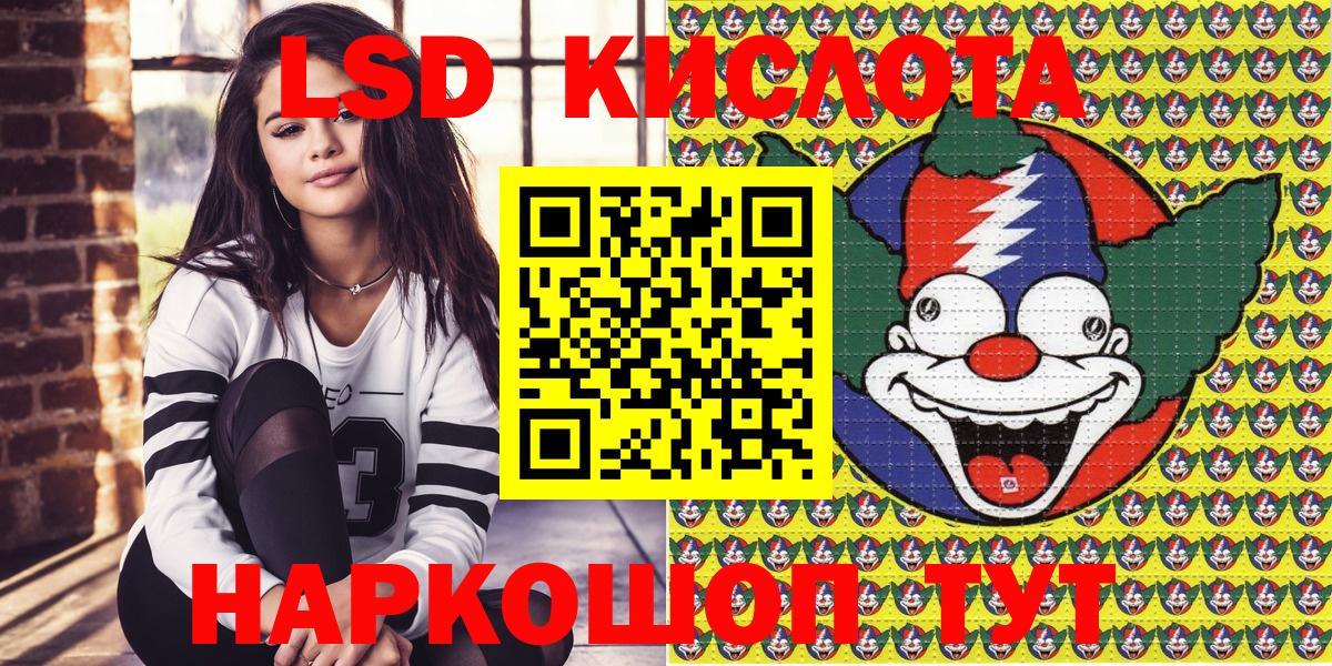 Галлюциногенные грибы Великий Новгород