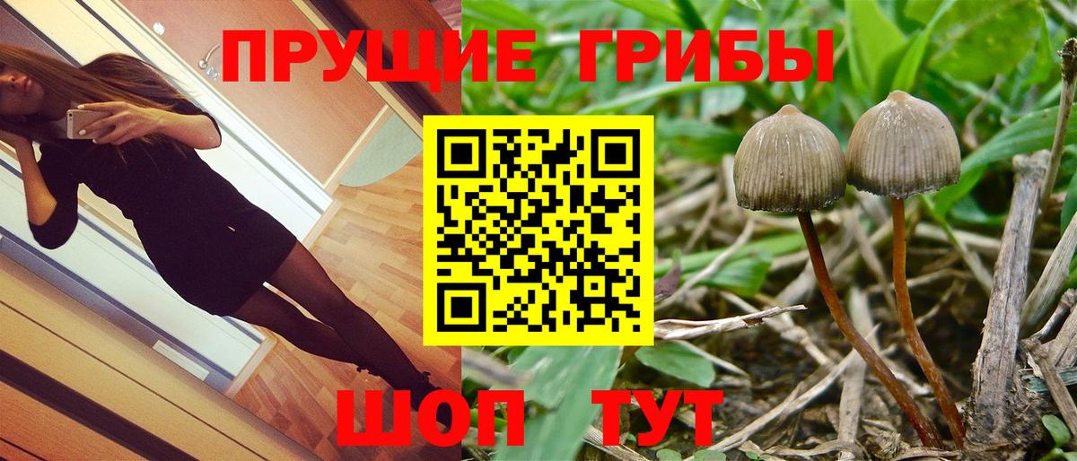 Великий Новгород  Галлюциногенные грибы мухоморы  Вход с VPN 